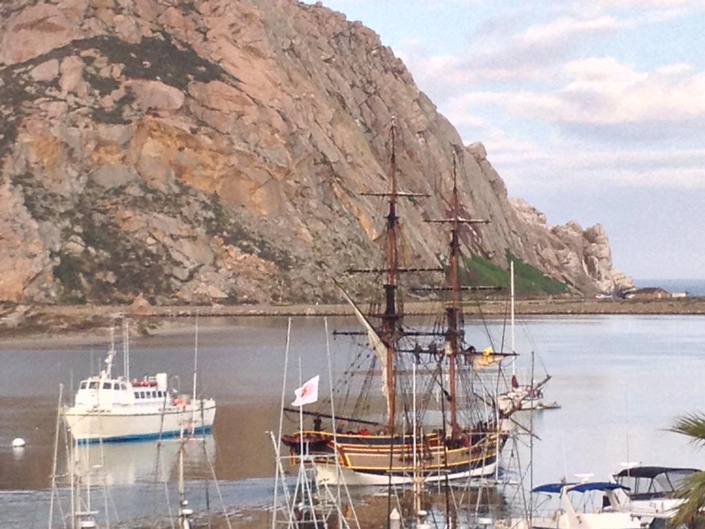 Economy Room - Pet Friendly,128036718:JPEG